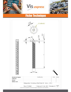 Vis métaux tête plate Clé de 4 HC4 M6X53 Frein filet... 2