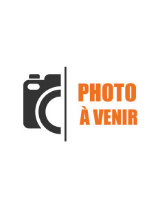Vis pvc 40° Tête cylindrique large TCL TORX T20 4X14...