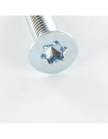 Vis métaux Tête fraisée TORX T40 M8X40 Classe 10.9 Acier zingué