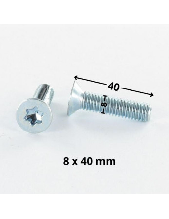 Vis métaux Tête fraisée TORX T40 M8X40 Classe 10.9 Acier zingué