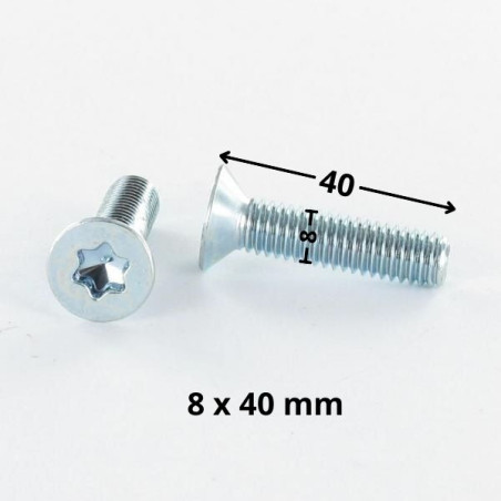 1 x Vis métaux Tête fraisée TORX T40 M8X40 Classe 10.9 Acier zingué
