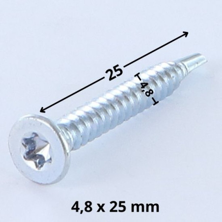 1 x Vis autoperceuse Tête fraisée TORX T25 4.8X25 Acier zingué