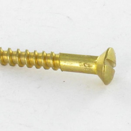1 x Vis bois Laiton Tête fraisée bombée TFB Fendue 2X20 microvis