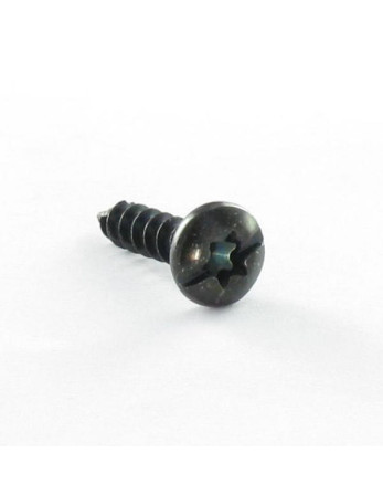 Vis pvc Poelier TORX T20 + Fendue 4X16 Acier zingué noir