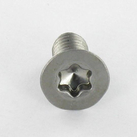 1 x Vis métaux Tête fraisée TORX T30 M6X10 Classe 10.9 Acier brut