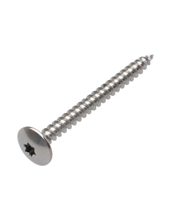 Vis Penture 4.5X50 Filetage total TORX T20 Acier chrome