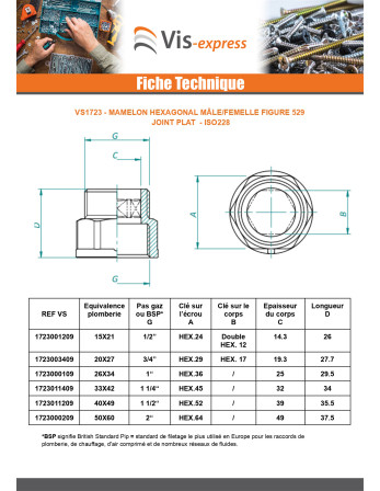 Mamelon hexagonal Figure 529 pour joint plat Mâle/Femelle renforcé 33x42 (1"1/4) Laiton