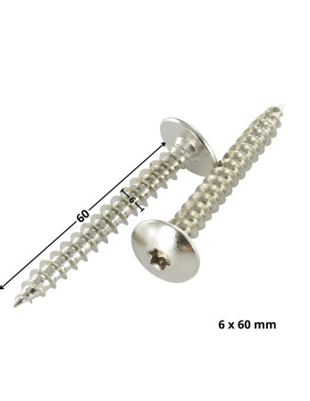 Vis Penture 6X60 Filetage partiel TORX T30 Acier nickelé