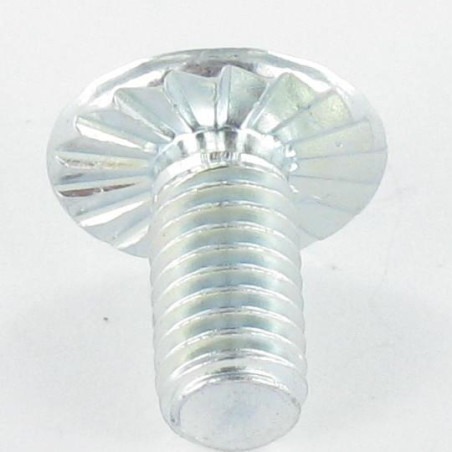 1 x Vis Poelier POZI et fendu M6X12 Cranté Acier zingué