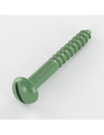 Vis bois Tête ronde TR Fendue 4X30 Acier zingué LAQ Vert RAL6011 vert reseda