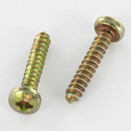 1 x Vis tôle tête cylindrique bombée large Pozi 4.2X25 Bichromaté