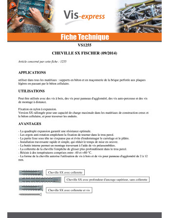 Cheville Nylon Sans collerette Fischer SX 10X80