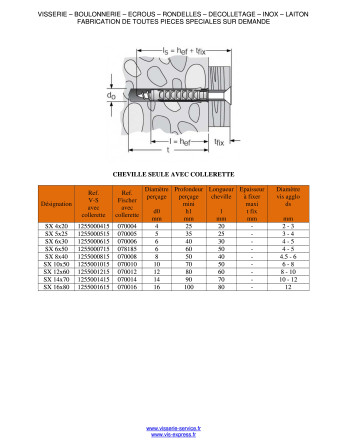 Cheville Nylon Sans collerette Fischer SX 10X80