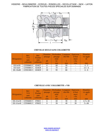 Cheville Nylon Sans collerette Fischer SX 10X80