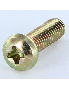 Vis métaux Tête cylindrique bombée TCB Pozi N°3 M6X38...