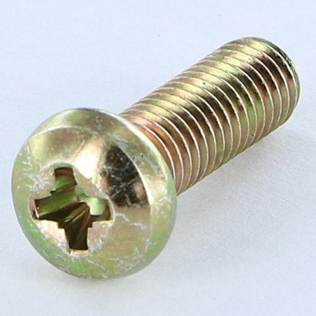 1 x Vis métaux Tête cylindrique bombée TCB Pozi N°3 M6X38 Pozi N°2 200 Heures brouillard salin Bichromaté