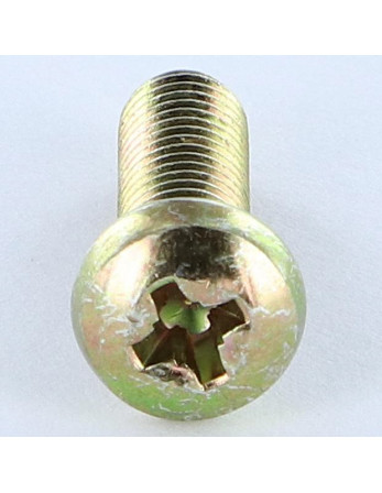 Vis métaux Tête cylindrique bombée TCB Pozi N°3 M6X38 Pozi N°2 200 Heures brouillard salin Bichromaté