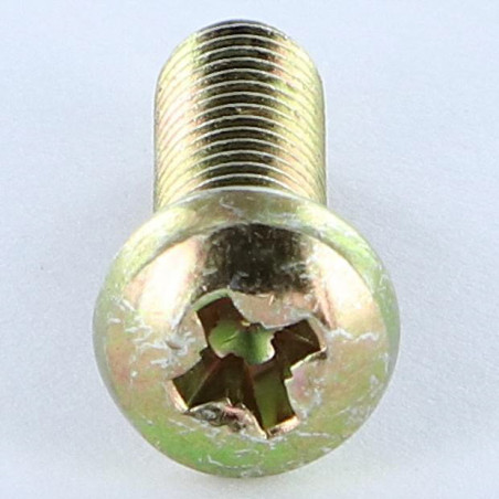 1 x Vis métaux Tête cylindrique bombée TCB Pozi N°3 M6X38 Pozi N°2 200 Heures brouillard salin Bichromaté
