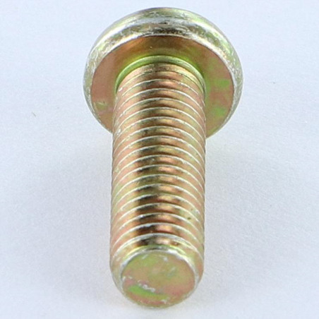 1 x Vis métaux Tête cylindrique bombée TCB Pozi N°3 M6X38 Pozi N°2 200 Heures brouillard salin Bichromaté