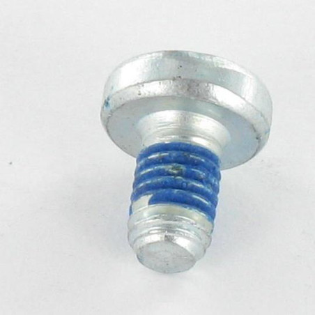 1 x Vis métaux tête cylindrique bombée large Pozi N°3 M6X10 Acier zingué Frein filet