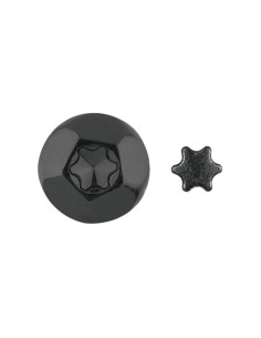 ELEMENT ANTI-INTRUSION TORX T40 Acier zingué noir
