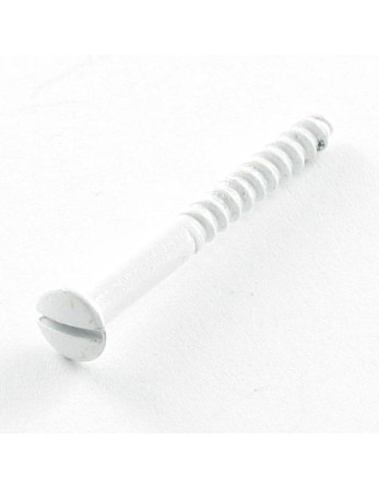 Vis bois Tête fraisée bombée TFB Fendue 4X30 Acier zingué Laqué blanc 9010