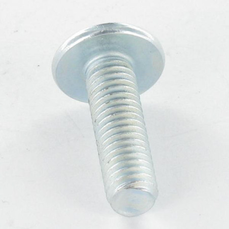 1 x Vis Poelier POZI et fendu M4X24 Acier zingué