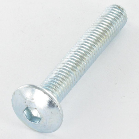 1 x Vis Poelier M8X55 Clé de 5 HC5 Acier zingué Bout pilote