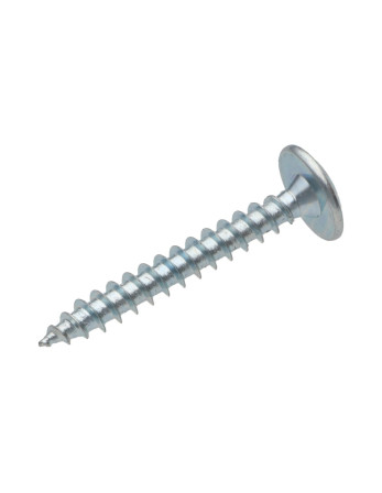 Vis Penture 6X60 Filetage partiel TORX T30 Acier zingué