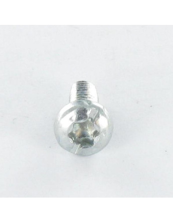 Vis autotaraudeuse Tête cylindrique TC TORX Filetée sur Fendue 5X10 Cranté Acier zingué noir
