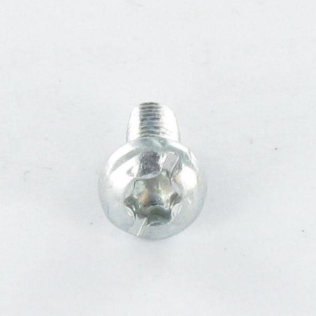 1 x Vis autotaraudeuse Tête cylindrique TC TORX Filetée sur Fendue 5X10 Cranté Acier zingué noir