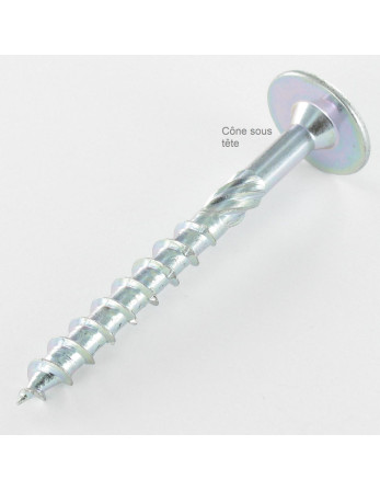 VBA Vis bois agglo Tête disque TORX T40 10X100 Acier zingué