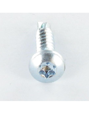 Vis autoperceuse Tête cylindrique bombée TCB 4.8X19 TORX T25 Acier zingué