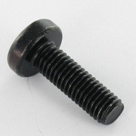1 x Vis métaux tête cylindrique bombée large TORX T40 M8X25 Acier zingué noir