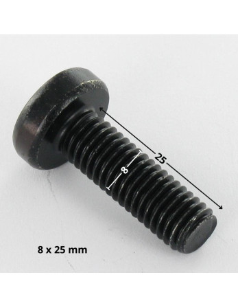 Vis métaux tête cylindrique bombée large TORX T40 M8X25 Acier zingué noir
