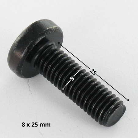 1 x Vis métaux tête cylindrique bombée large TORX T40 M8X25 Acier zingué noir