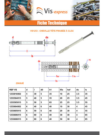 Cheville à frapper clou-vis Acier zingué 8X45
