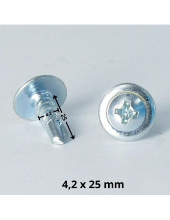 Vis autoperceuse Tête ronde large Phillips Cranté 4.2X25 Acier zingué