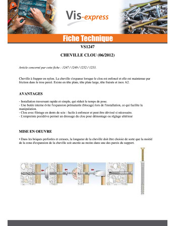 Cheville Clou RAWLPLUG Tête plate 6X35
