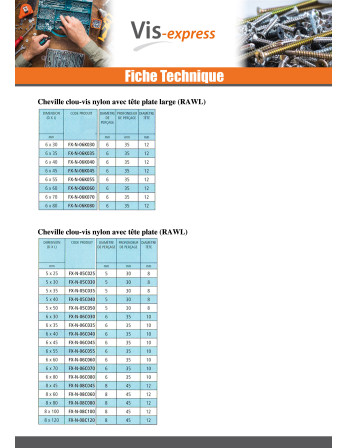 Cheville Clou RAWLPLUG Tête plate 6X35