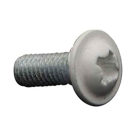 1 x Vis Poelier Pozi M6X16 Acier zingué RAL9010 blanc pur
