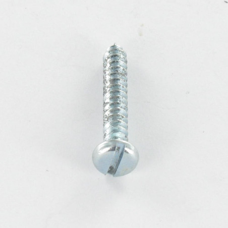 1 x Vis tôle Tête cylindrique TC Fendue 2.9X6.4 Acier zingué