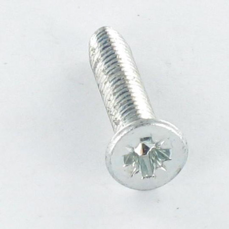 1 x Vis autotaraudeuse Tête fraisée M3X10 Pozi N°1 Acier zingué microvis