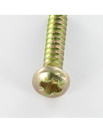 Vis tôle tête cylindrique bombée large Pozi 2.9X9.5 Bichromaté Sans pointe