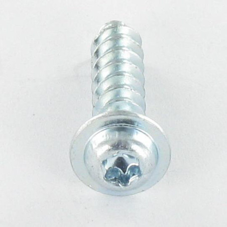 1 x Vis pvc Tête cylindrique TC TORX T10 3.5X10 Acier zingué