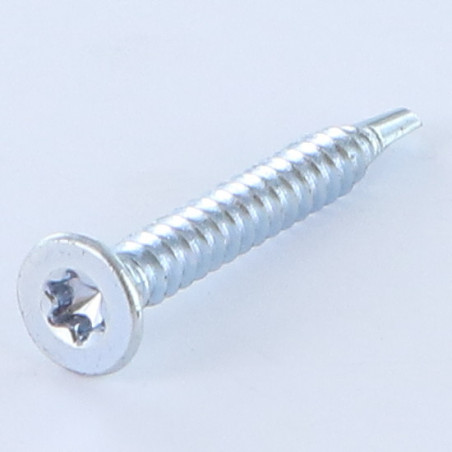 1 x Vis autoperceuse Tête fraisée TORX T25 4.8X19 Acier zingué