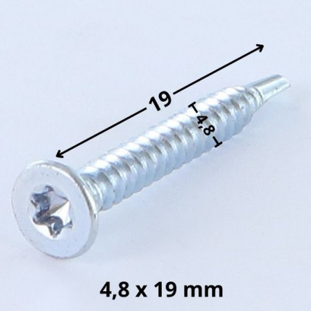 1 x Vis autoperceuse Tête fraisée TORX T25 4.8X19 Acier zingué