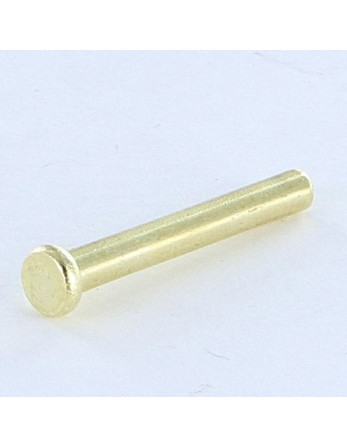 Rivet à frapper Tête plate 2.6X20 Diamètre de tête: 4.5 EP1.2 Acier laitonne