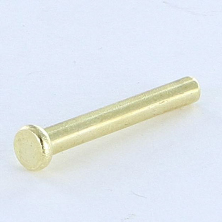 1 x Rivet à frapper Tête plate 2.6X20 Diamètre de tête: 4.5 EP1.2 Acier laitonne