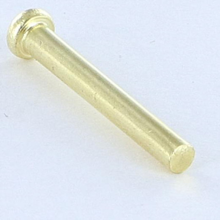 1 x Rivet à frapper Tête plate 2.6X20 Diamètre de tête: 4.5 EP1.2 Acier laitonne